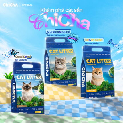Cát Sắn ChiCha